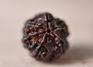Do Mukhi Rudraksha Benefits and Their Role in Enhancing Spirituality do mukhi rudraksha benefits
