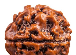 The Profound Benefits of 9 Mukhi Rudraksha for Wealth, Success, and Prosperity benefits of 9 mukhi rudraksha