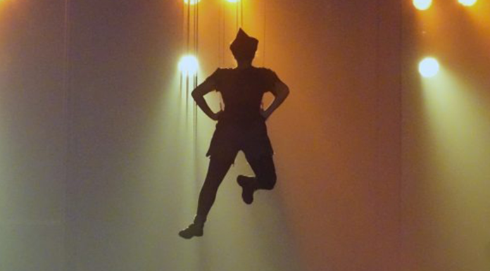 How Performer Flying Effects Transform Live Performances into Spectacular Experiences Performer Flying