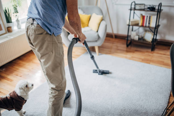 vacuuming carpets vacuuming carpets