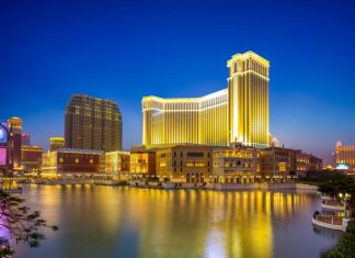 Reddy Book: The Online Betting Experience You Didn’t Know You Needed reddy book