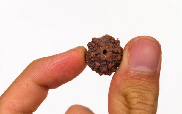 Finding an Original Rudraksha Dealer Sahakara Nagar Really This Confusing? Original Rudraksha dealer Sahakara Nagar