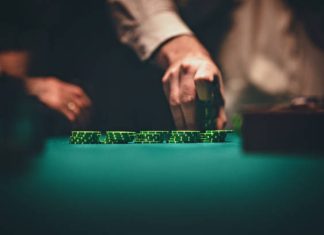 tiger 365 – A Practical Option for Modern Online Bettors tiger 365