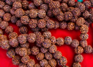 Where Can You Actually Find a Genuine Original Rudraksha Dealer Sahakara Nagar Without Getting Scammed? Original Rudraksha dealer Sahakara Nagar