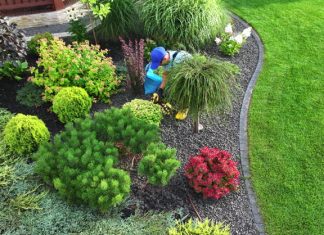 A Landscape Company Can Turn Empty Yards Into Functional Outdoor Spaces landscaping near me