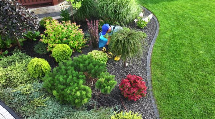 A Landscape Company Can Turn Empty Yards Into Functional Outdoor Spaces landscaping near me