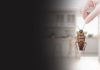 Effective Bed Bug Removal Strategies and Professional Treatment Options in Cleveland bed bug exterminator in Cleveland