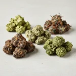 Understanding Quality Cannabis Flower Cannabis Flower in Wakefield