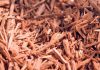 How to Build a Simple Herbal First Aid Kit for Your Home The Lost Herbs