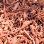 How to Build a Simple Herbal First Aid Kit for Your Home The Lost Herbs