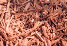 How to Build a Simple Herbal First Aid Kit for Your Home The Lost Herbs