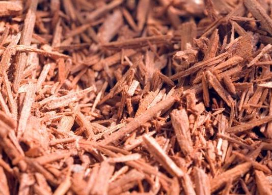 How to Build a Simple Herbal First Aid Kit for Your Home The Lost Herbs