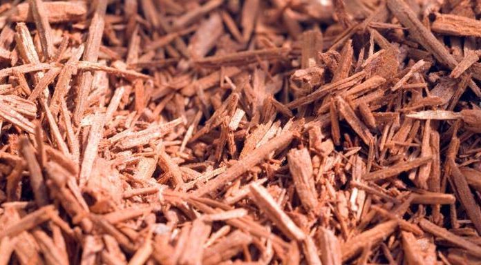 How to Build a Simple Herbal First Aid Kit for Your Home The Lost Herbs